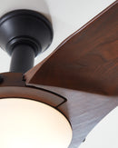 Minimalist 56 Collection