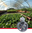 Extractores de tipo tubular, accionados por transmisión de polea y banda, para colocar el motor exterior al flujo del aire. Proporciona grandes prestaciones de caudal-presión para llevar a cabo la extracción de humos o gases a través de conductos