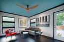 Haiku Ceiling Fan